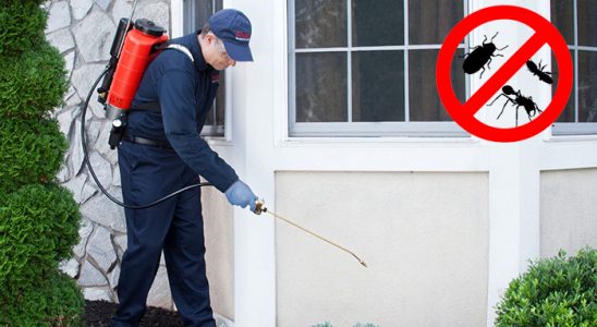 Eğirdir Kemirgen İlaçlama böcek ilaçlama ve haşere kontrolü — ilaclama-tr.com